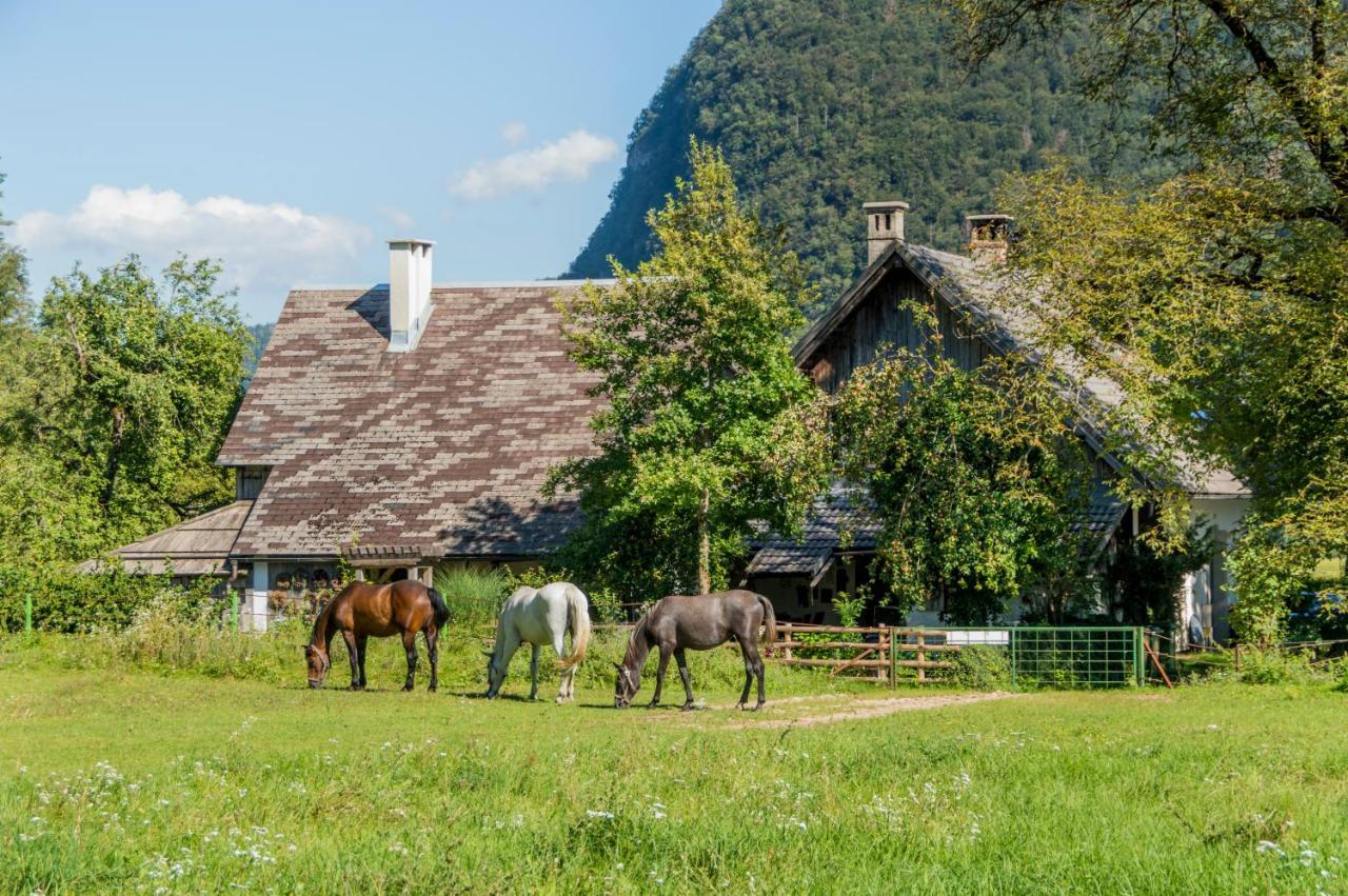 Вилла Charming Blacksmith'S House @ Lake Бохинь Экстерьер фото